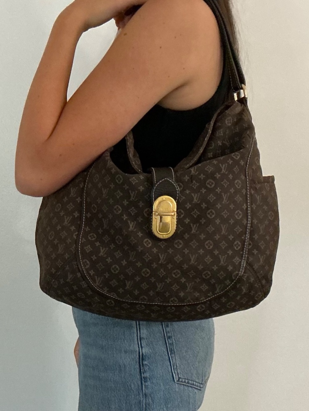 Louis Vuitton Designer Bag with Dust Bag - Picture 6 of 8